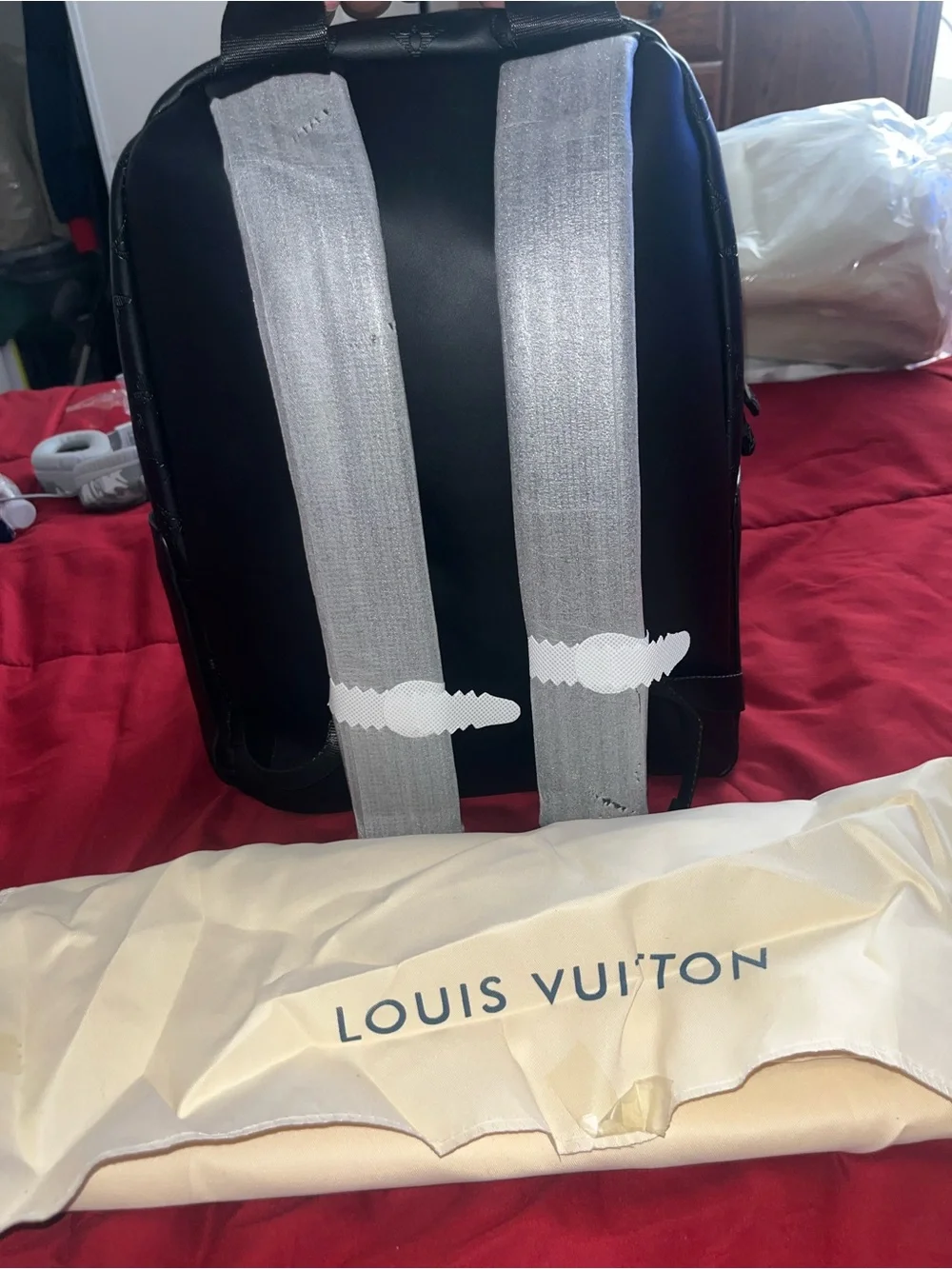 LV Backpack